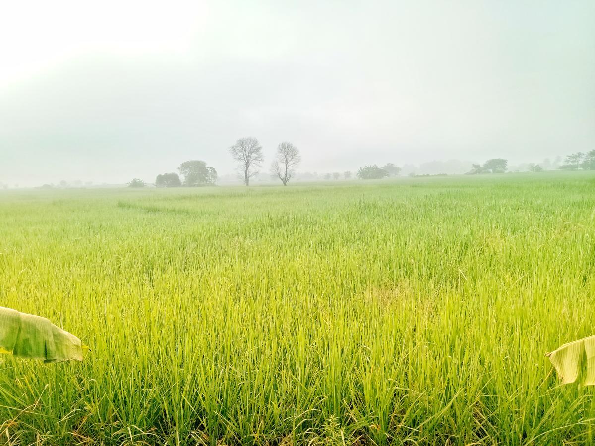 Jaisabai Homestay Mae Ai Buitenkant foto
